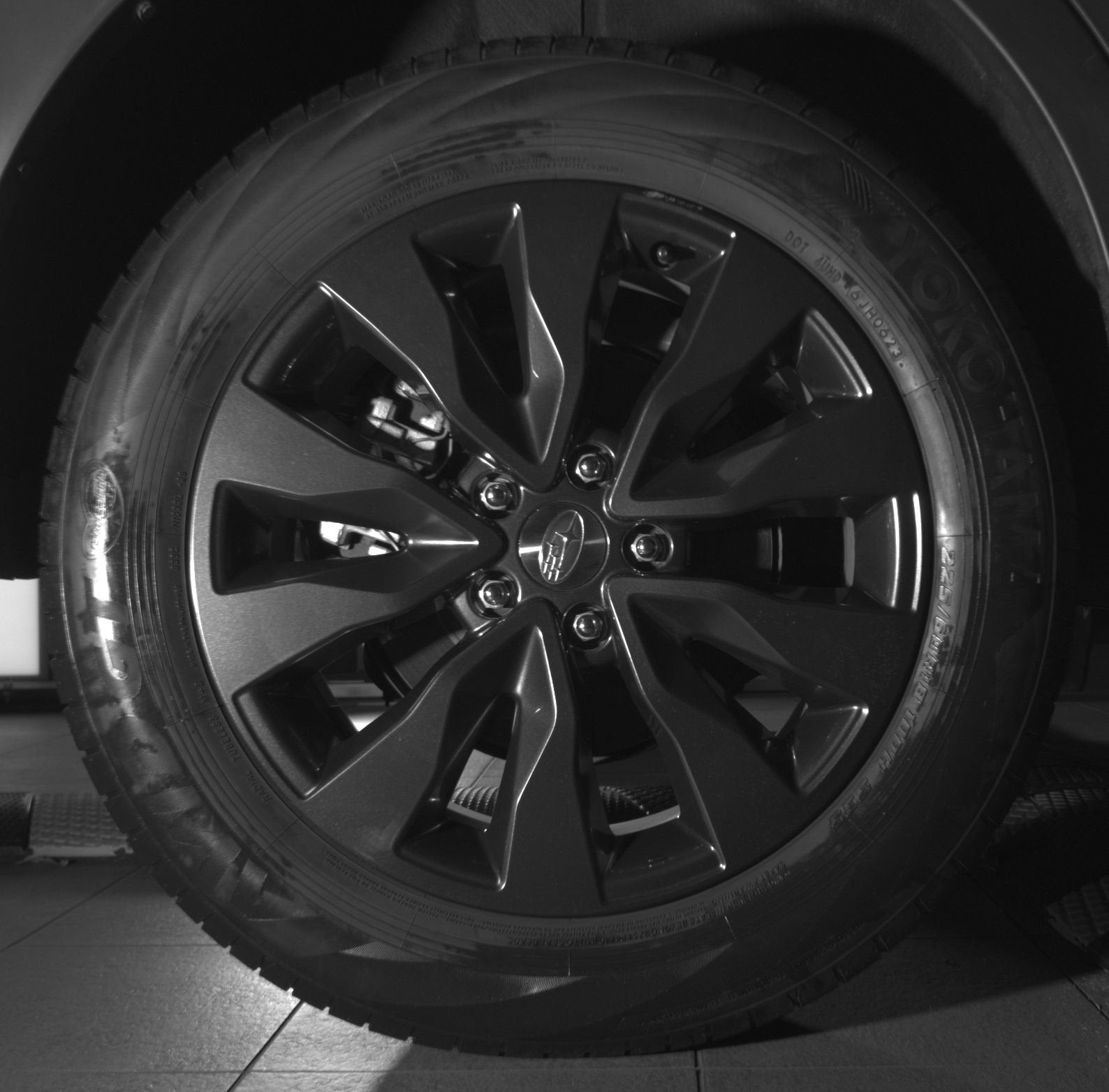 Photo 11